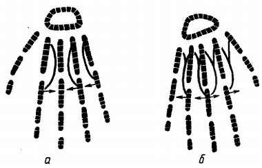 Михаил Привес, Николай Лысенков и др. - Анатомия человека