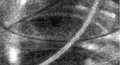 Михаил Ямпольский - Пригов. Очерки художественного номинализма