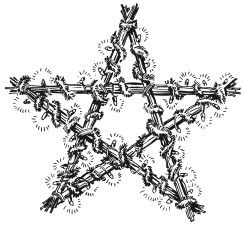 Наталья Дмитриева - Поделки из природных материалов