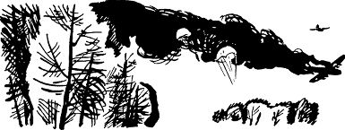 На фронте затишье...