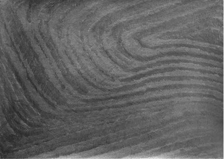 Михаил Ямпольский - Пригов. Очерки художественного номинализма