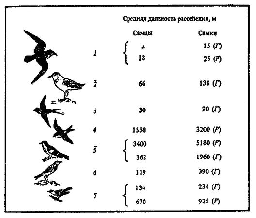 Леонид Соколов - Почему перелетные птицы возвращаются домой