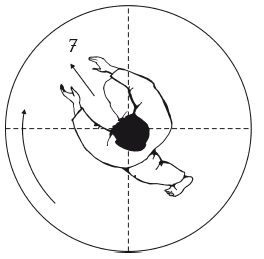 Андрей Григорьев - Боевое айкидо. Философия боя. Система обороны