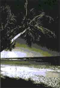 Эрнст Мулдашев - Трагическое послание древних