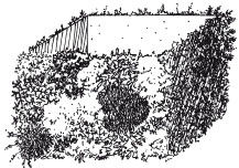 Наталья Дмитриева - Поделки из природных материалов