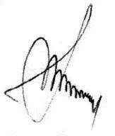 Мария Цапенко, Анна Червова и др. - Семейный детский сад: алгоритм создания и...