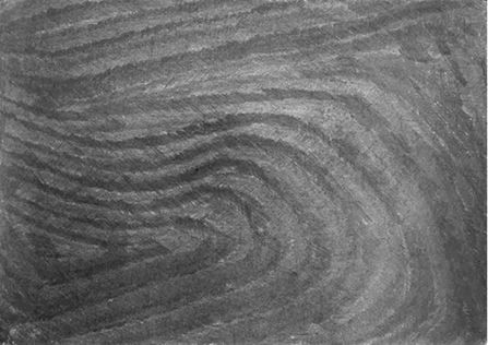 Михаил Ямпольский - Пригов. Очерки художественного номинализма