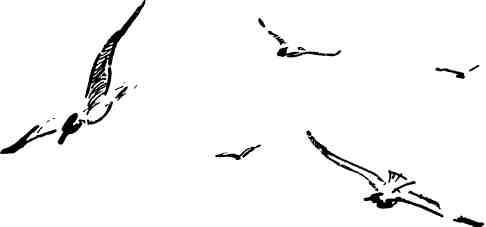 Алексей Леонтьев - Последняя радиограмма