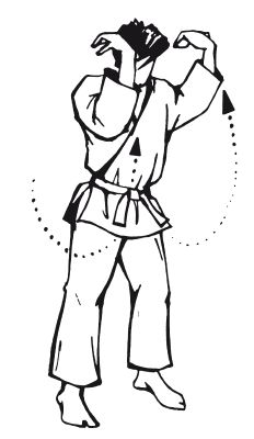 Андрей Григорьев - Боевое айкидо. Философия боя. Система обороны