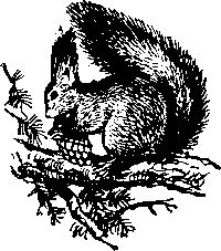 Максим Зверев - По родному краю