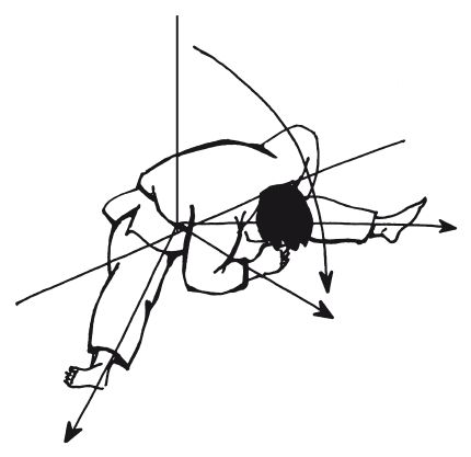 Андрей Григорьев - Боевое айкидо. Философия боя. Система обороны