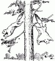 Яков Перельман - Занимательная физика. Книга 1