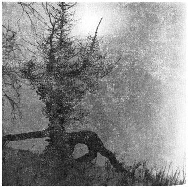 Михаил Величко - Маленькие путешествия вокруг большого города