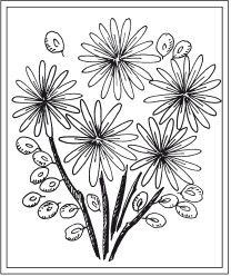 Наталья Дмитриева - Поделки из природных материалов