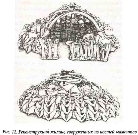 Виктор Янович - Золото скифов: тайны степных курганов