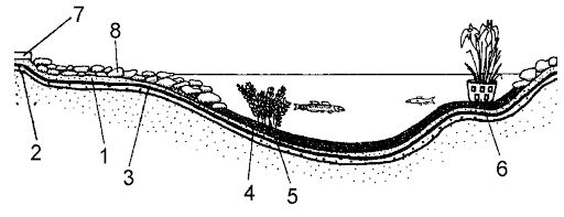 Валентина Назарова - Бассейны, пруды и фонтаны. Строительство, эксплуатация, ремонт