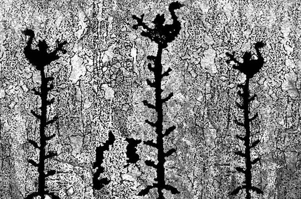 Ильдар Абузяров - Финское солнце