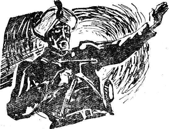 Николай Анов - Гибель Светлейшего