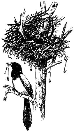 Игорь Акимушкин - Причуды природы