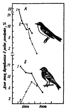 Леонид Соколов - Почему перелетные птицы возвращаются домой