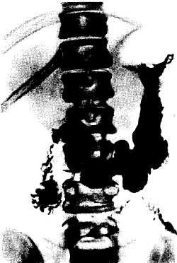 Михаил Привес, Николай Лысенков и др. - Анатомия человека