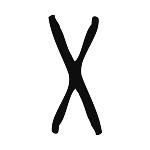 Практическая магия Европы. Заклинания и...