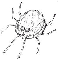 Наталья Дмитриева - Поделки из природных материалов