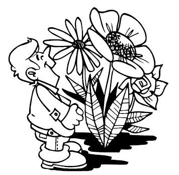 Анна Зорина - Изгороди и заборы своими руками