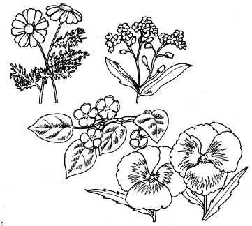 Ольга Веселовская - А свадьба пела и плясала...