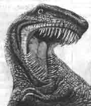 Эрнст Мулдашев - Трагическое послание древних