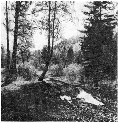 Михаил Величко - Маленькие путешествия вокруг большого города