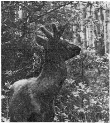 Михаил Величко - Маленькие путешествия вокруг большого города