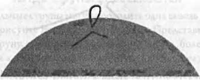 Леонард Сасскинд - Битва при черной дыре. Мое сражение со Стивеном Хокингом за...