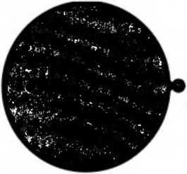 Леонард Сасскинд - Битва при черной дыре. Мое сражение со Стивеном Хокингом за...