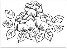 Наталья Дмитриева - Поделки из природных материалов