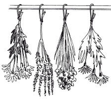 Наталья Дмитриева - Поделки из природных материалов