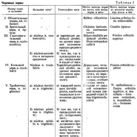 Михаил Привес, Николай Лысенков и др. - Анатомия человека