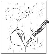 Наталья Дмитриева - Поделки из природных материалов