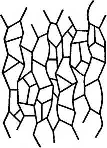 Леонард Сасскинд - Битва при черной дыре. Мое сражение со Стивеном Хокингом за...