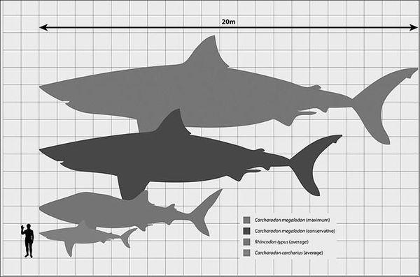 Николай Непомнящий - 100 великих тайн доисторического мира