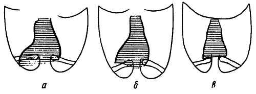 Михаил Привес, Николай Лысенков и др. - Анатомия человека