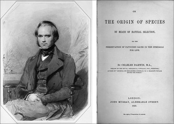 Николай Непомнящий - 100 великих тайн доисторического мира