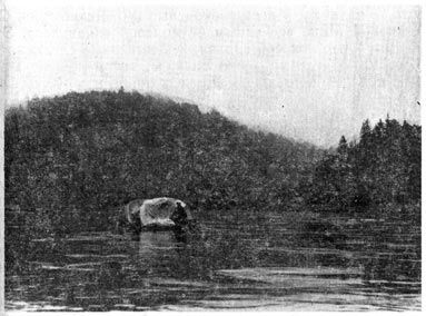 Михаил Величко - Маленькие путешествия вокруг большого города