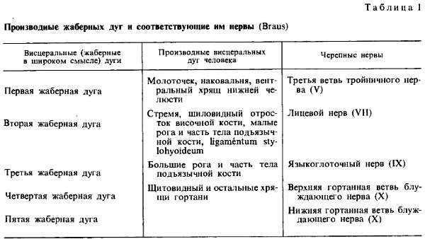 Михаил Привес, Николай Лысенков и др. - Анатомия человека
