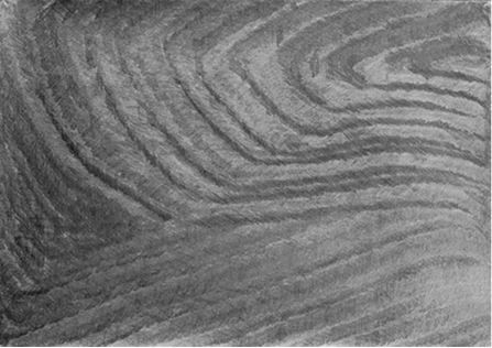 Михаил Ямпольский - Пригов. Очерки художественного номинализма