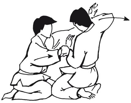 Андрей Григорьев - Боевое айкидо. Философия боя. Система обороны