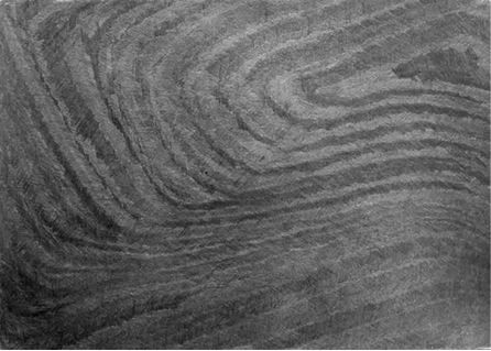 Михаил Ямпольский - Пригов. Очерки художественного номинализма