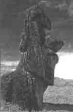 Эрнст Мулдашев - Трагическое послание древних