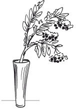 Наталья Дмитриева - Поделки из природных материалов