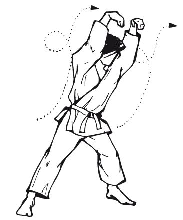 Андрей Григорьев - Боевое айкидо. Философия боя. Система обороны